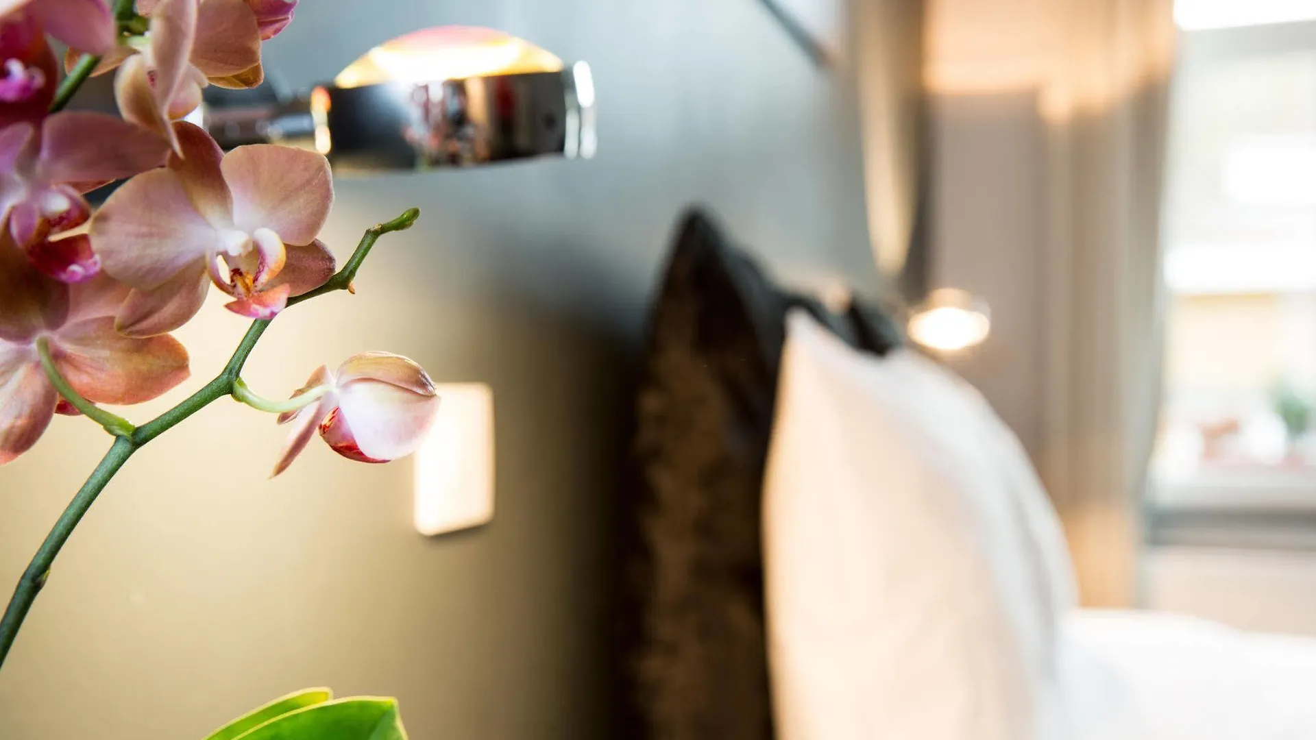 Bed & Breakfast B&B X2Brussels